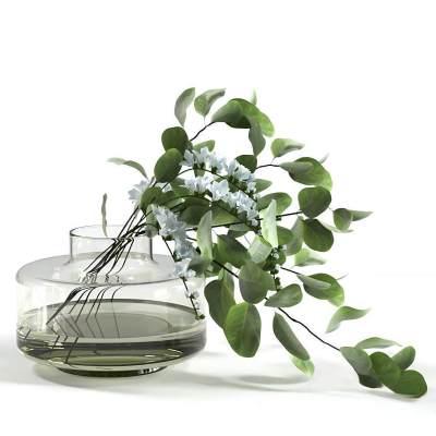 水生植物 花瓶